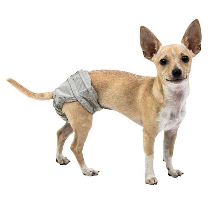 Large Pet Supplies K623097