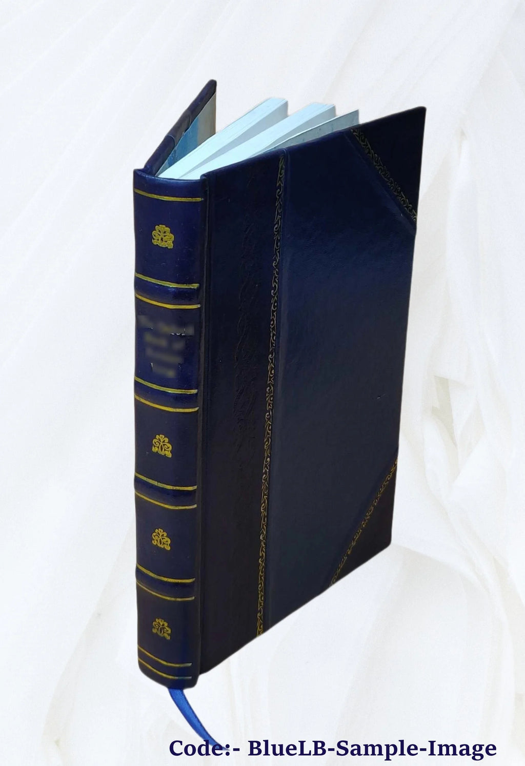 Leather Bound Book T250382
