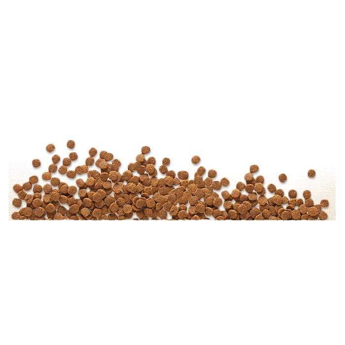 Chicken Meal & Chickpeas Grain Free Dry Dog Food R256