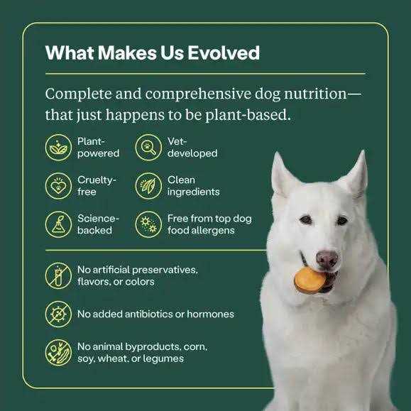 Dry Dog Food X575