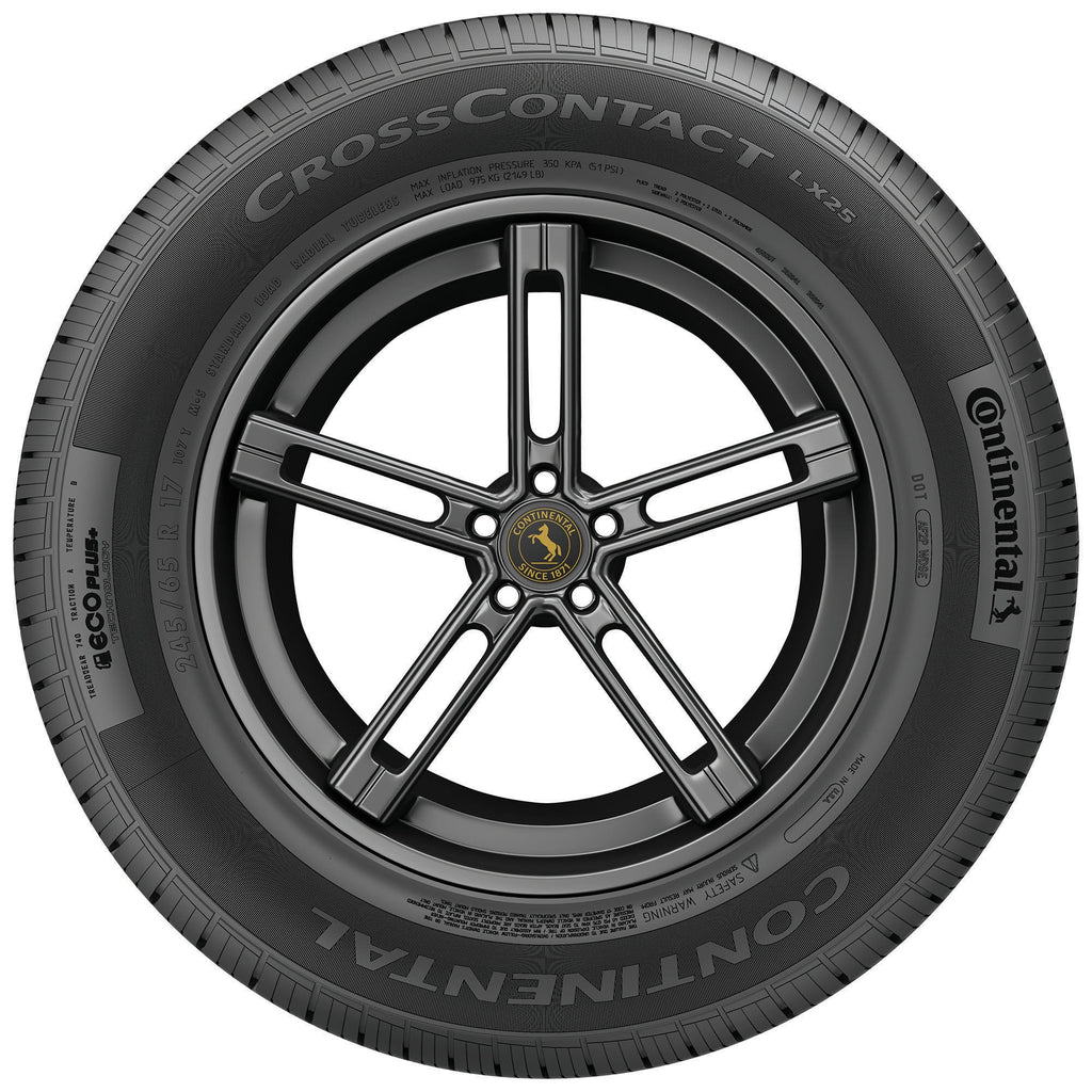 All Season 255/50R19 107H XL SUV/Crossover Tire I77300
