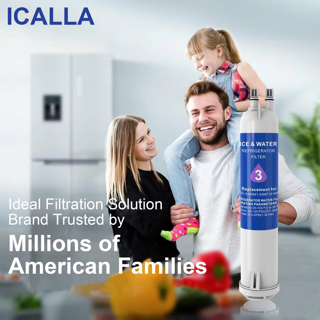 Water Filter 2-Pack P10454