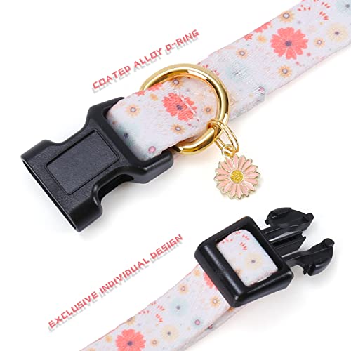 White Peach Dog Collar with Pendant (Small) G223036