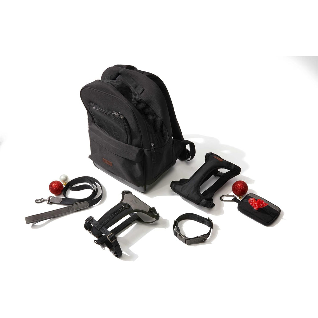 6' Dog Lead L659
