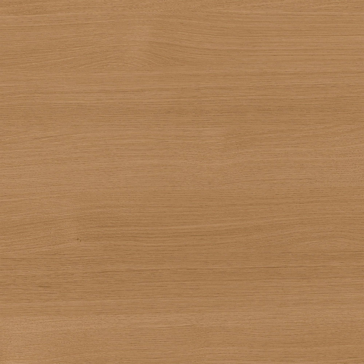 Light Oak 2 Drawer Mobile File Cabinet D626316