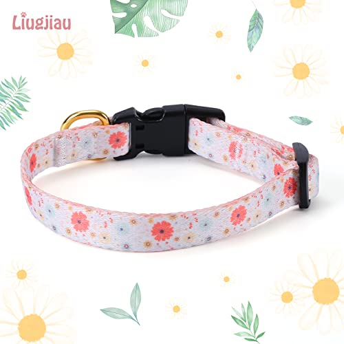 White Peach Dog Collar with Pendant (Small) G223036