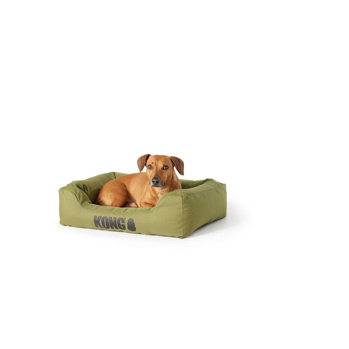 4-Sided Cuddler Dog Bed F847810
