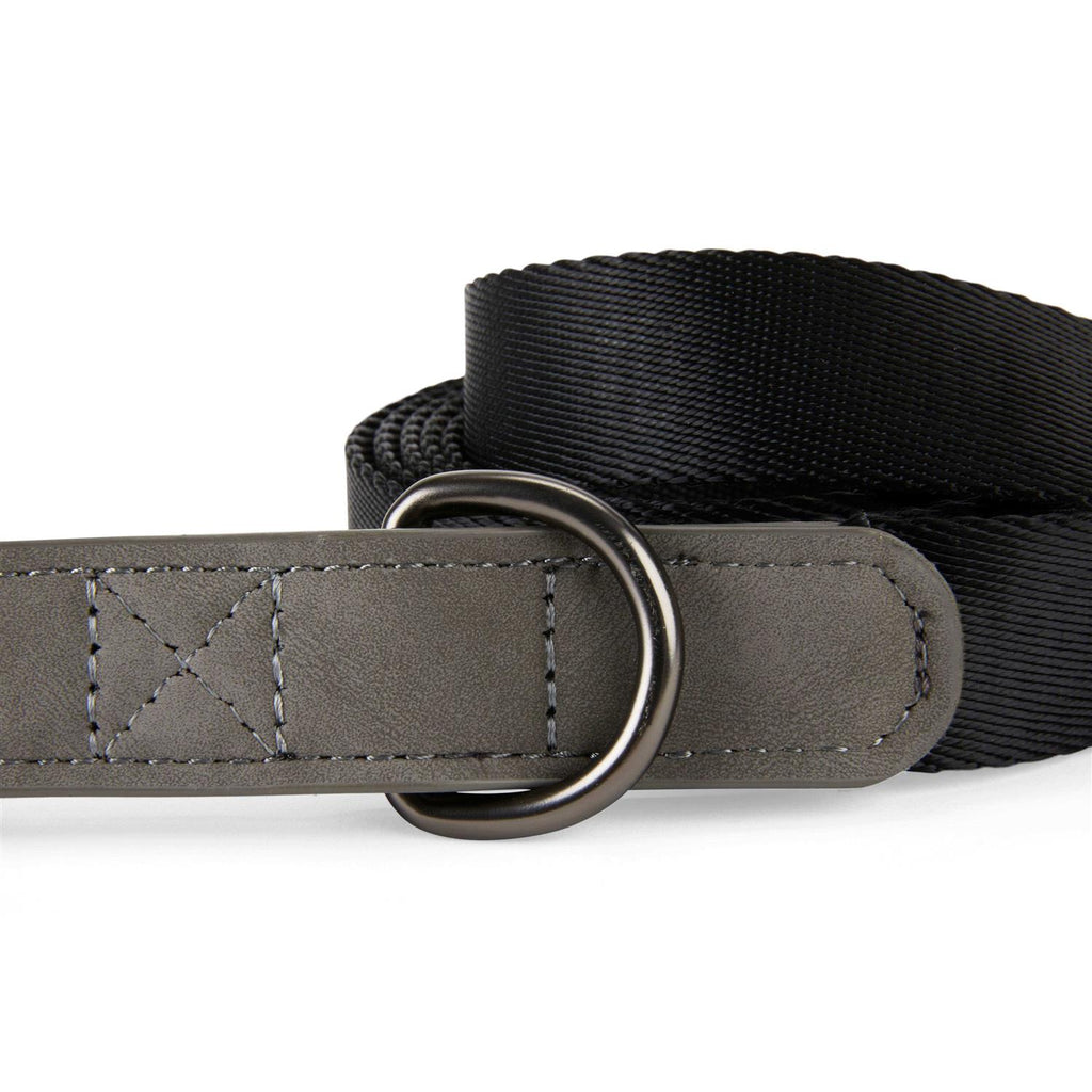 6' Dog Lead L659