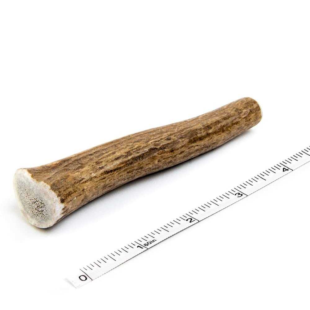 Elk Antler Dog Chew P184