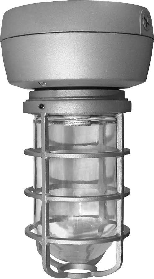 50W Metal Halide Ceiling Light Black with Glass Globe A7877