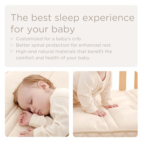 Organic Breathable Fabric Crib Mattress R1915