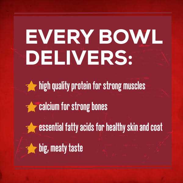 Savory Beef Dry Dog Food W100