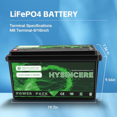 2Pack 12V 100Ah LiFePO4 Lithium Battery with 100A BMS P8505