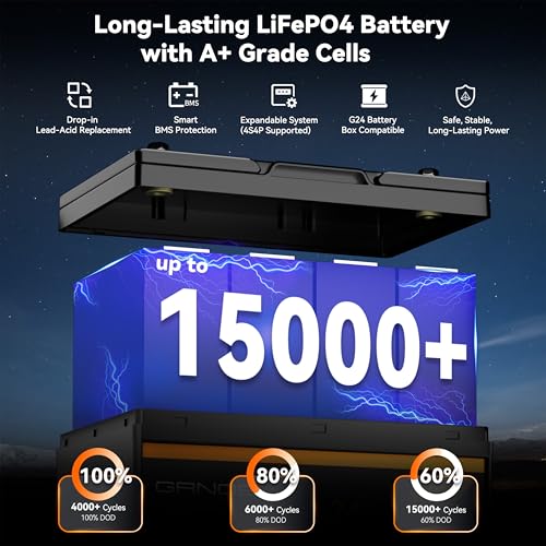 2-Pack 12V 100Ah LiFePO4 Automotive Batteries, 100A BMS Each, Group 24 D5265