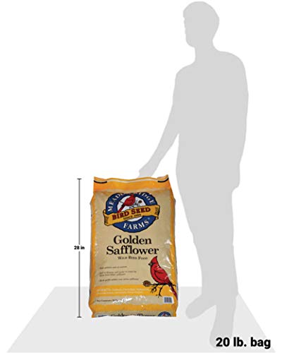 20-Pound Bag Bird Seed I976