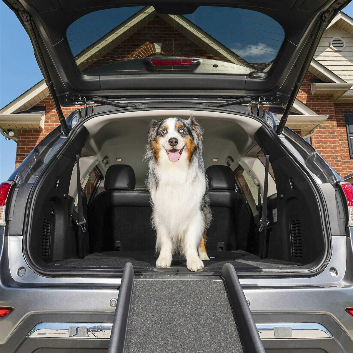 Folding Pet Ramp I734183