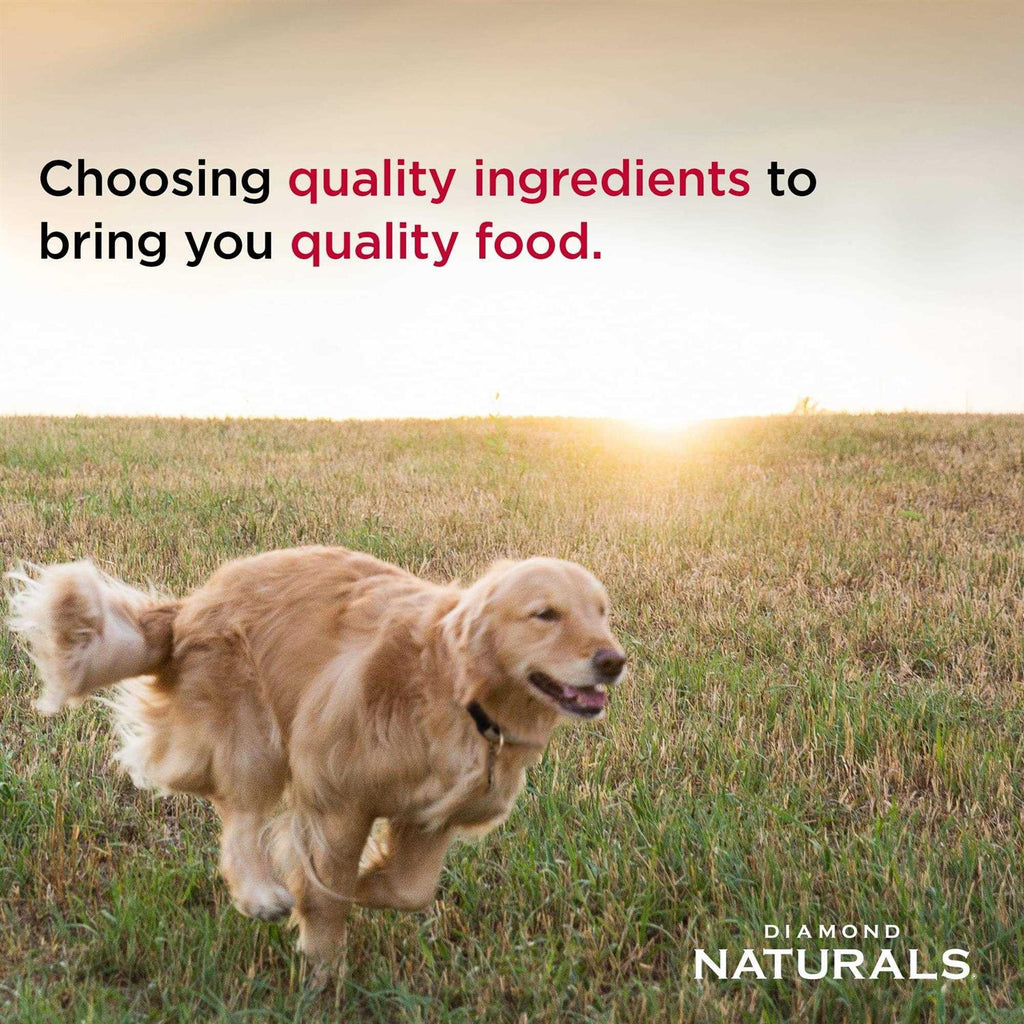 Lamb Meal & Rice Adult Dog Food N7082