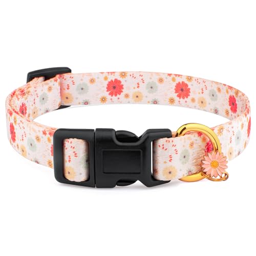 White Peach Dog Collar with Pendant (Small) G223036