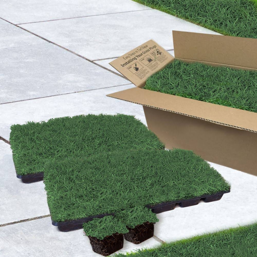 3x22 Grass Plugs 36 Count J948
