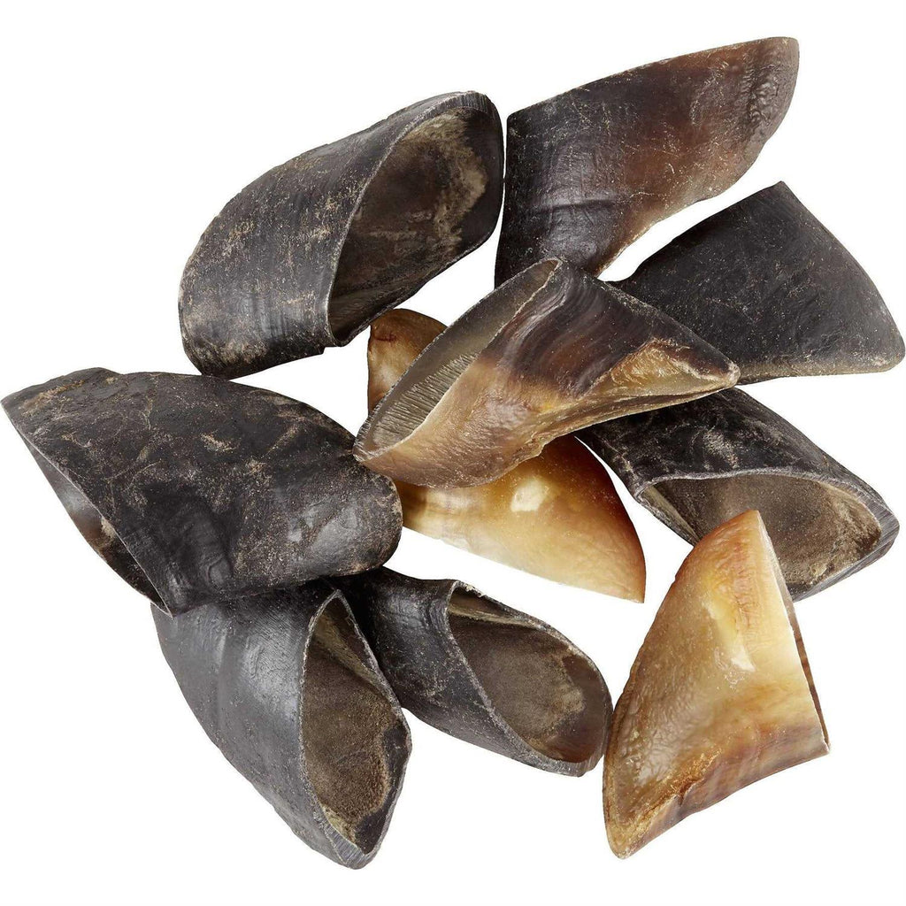 Cow Hooves N585
