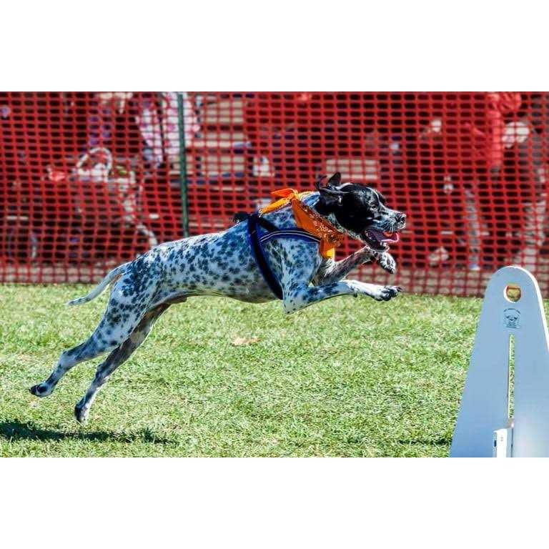 Sport Harness S99693