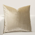 Washable Velvet Throw Pillow 22" x 22" S786