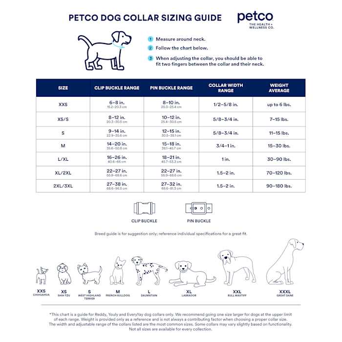 Training Dog Collar Y847124