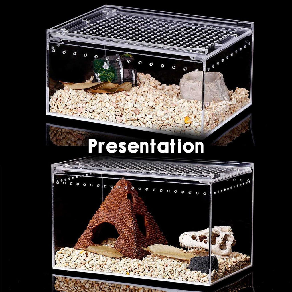 Reptile Terrarium Amphibian Tank Starter Kit F1233