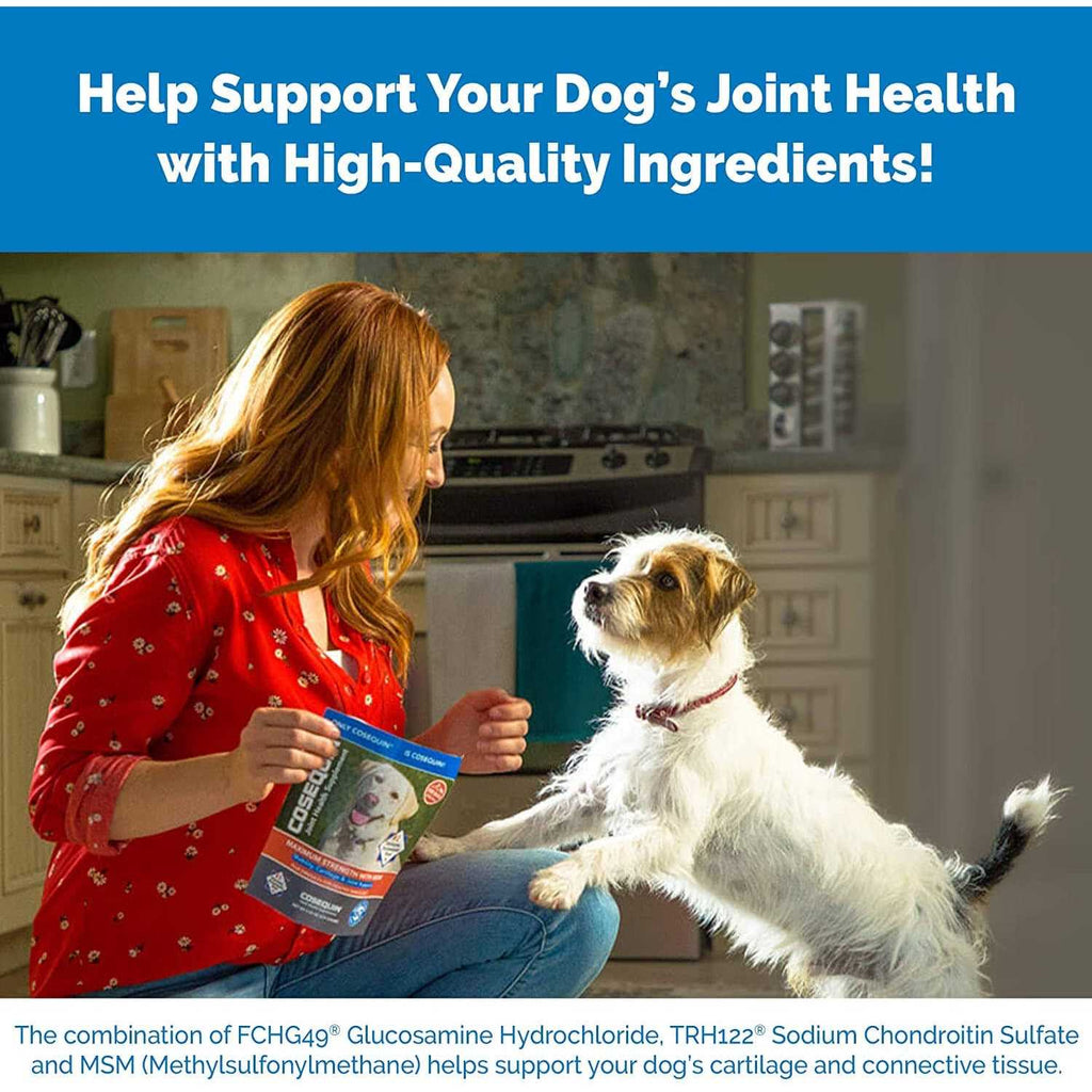 Chewable Tablets for Dogs G530