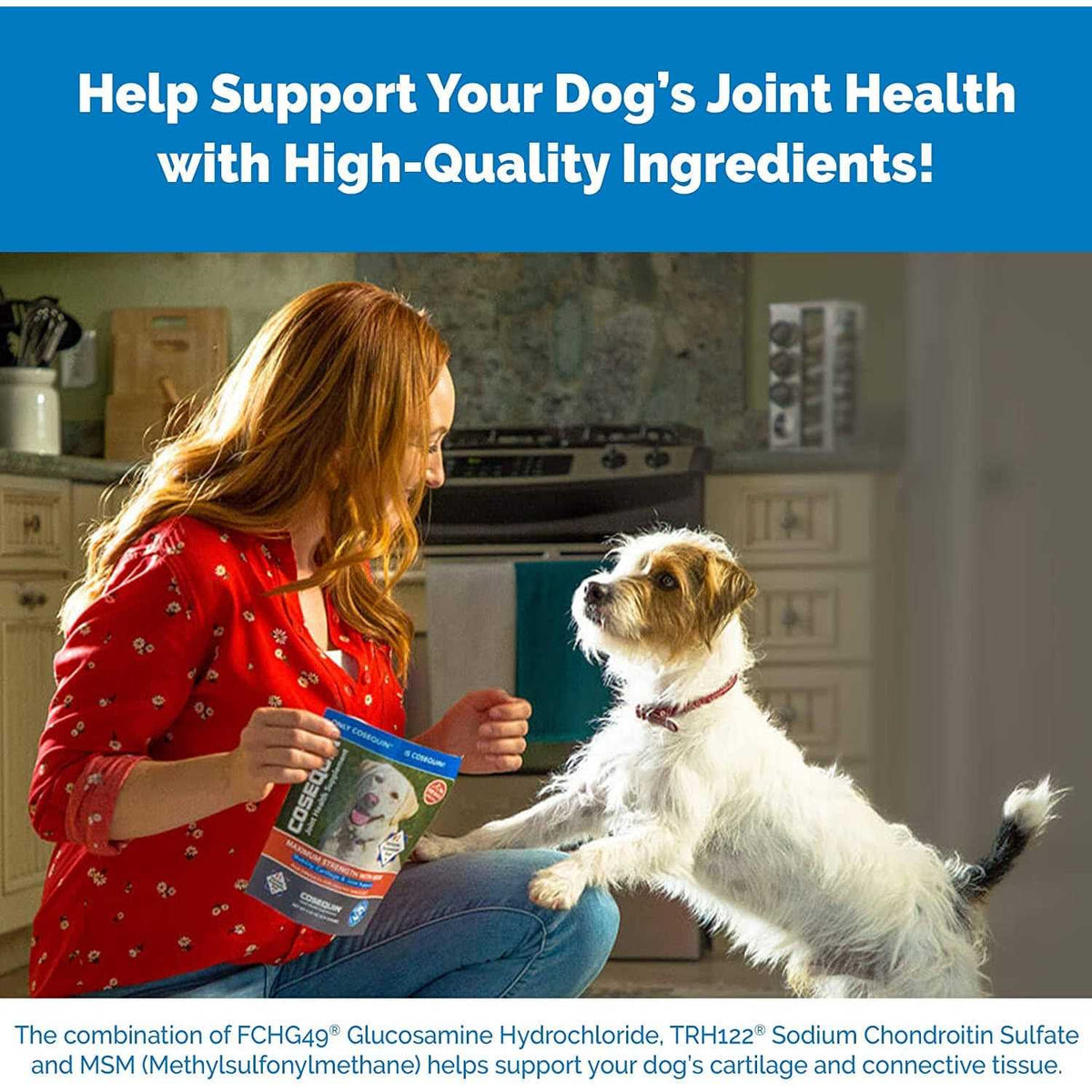 Chewable Tablets for Dogs G530