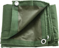 Green 6 x 8 Feet Waterproof Canvas Tarp with Rust Grommets W939