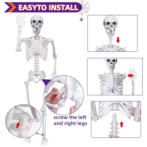 5.4Ft Life Size Posable Skeleton E4997