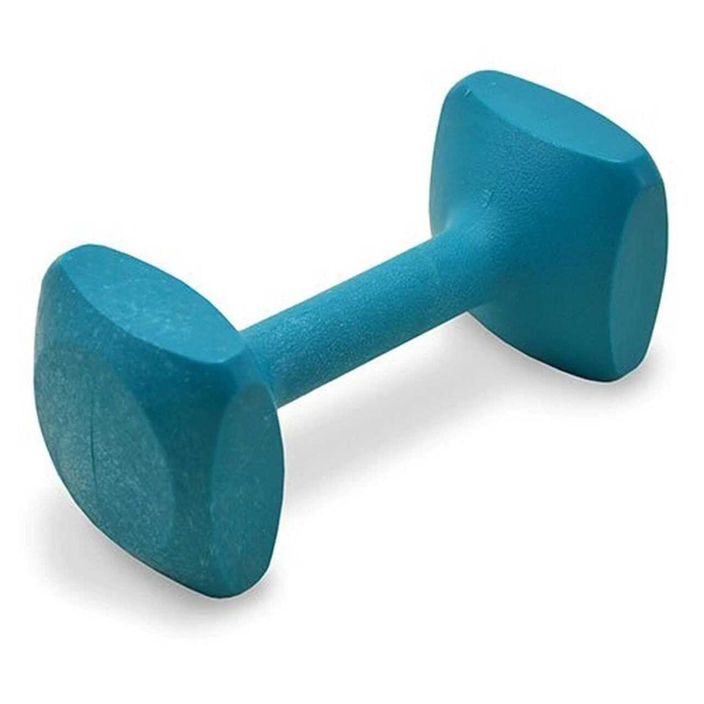 Dog Supplies Obedience Retrieving Dumbbell X69350