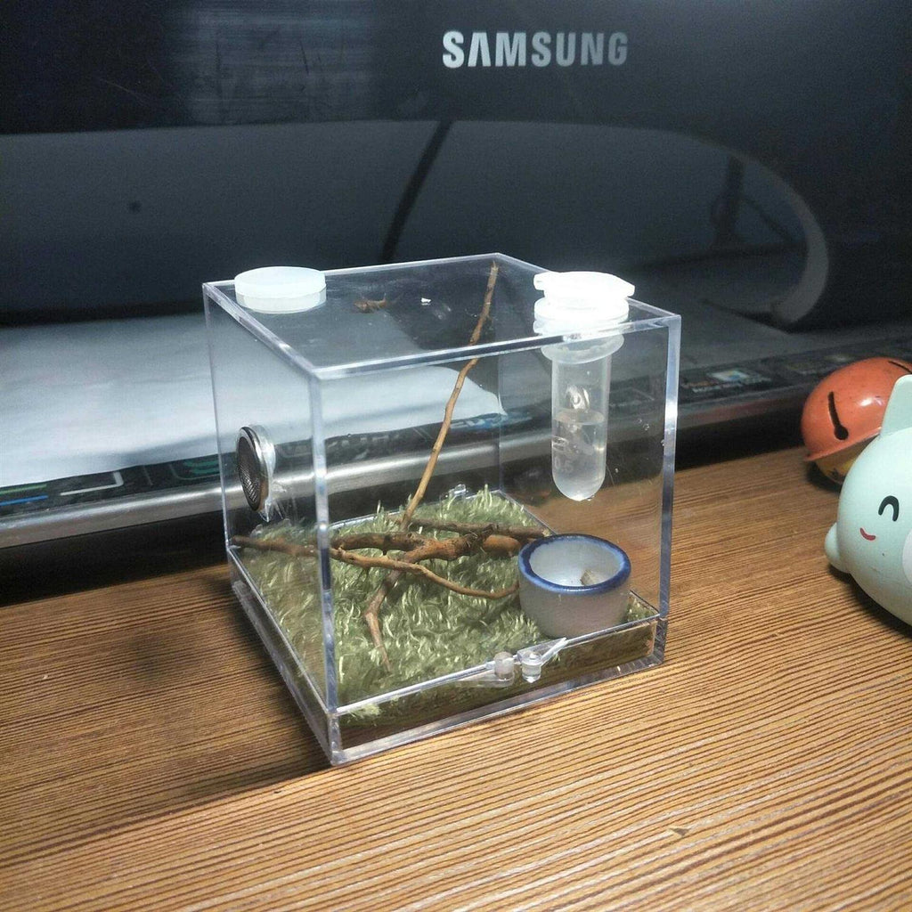 Acrylic Reptile Breeding Box with Dropper Tongs G572952