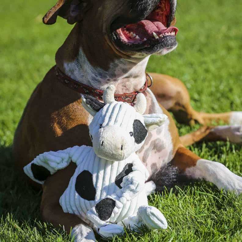 Ruff-Tex Dog Toy Q9258
