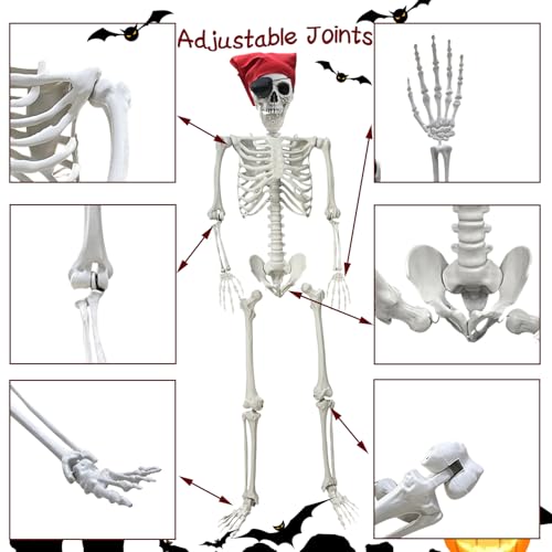 5.4Ft Life Size Posable Skeleton E4997