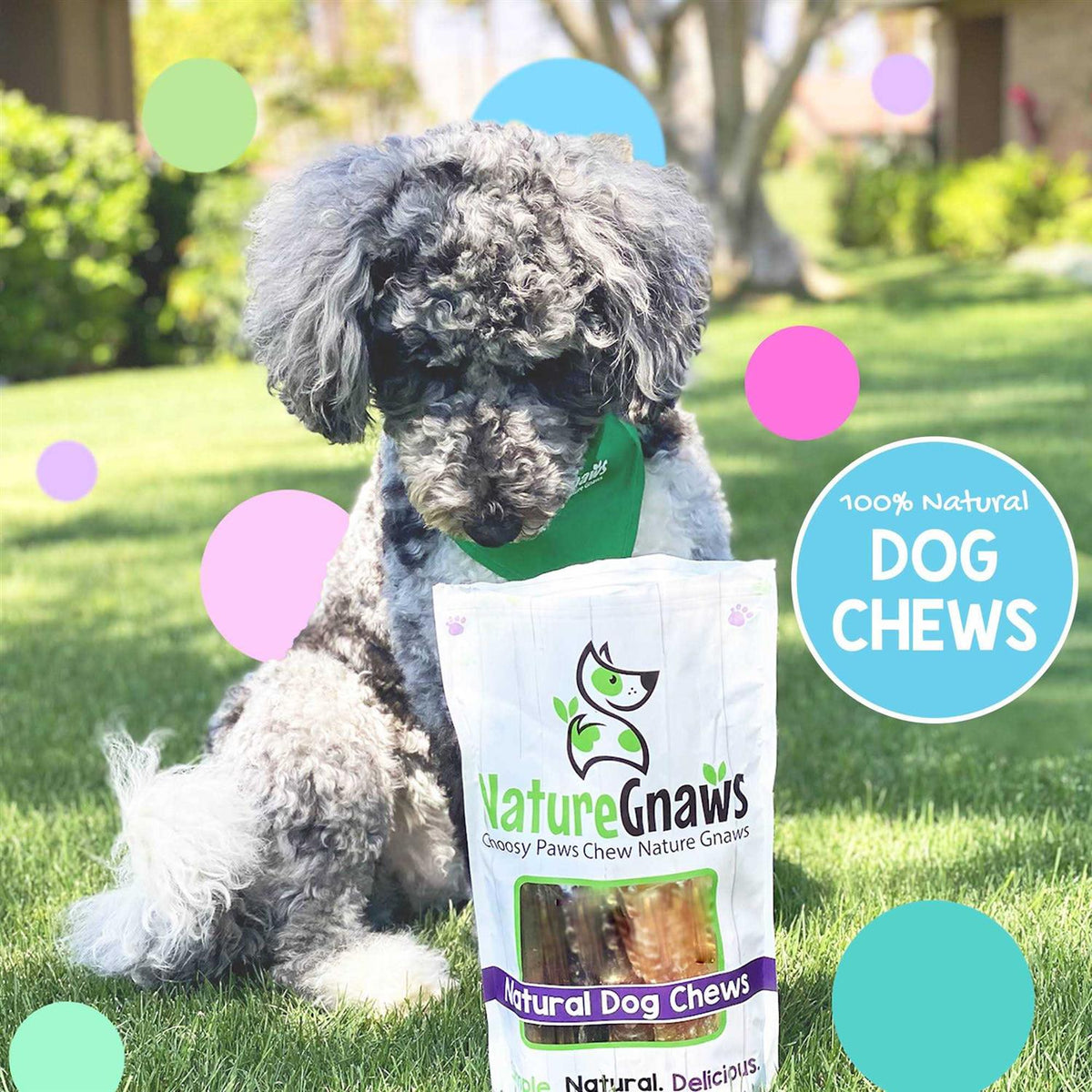 Natural Dog Chews Variety Pack D37042