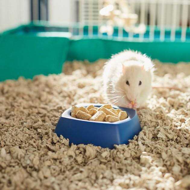Rat & Mouse Diet R445679