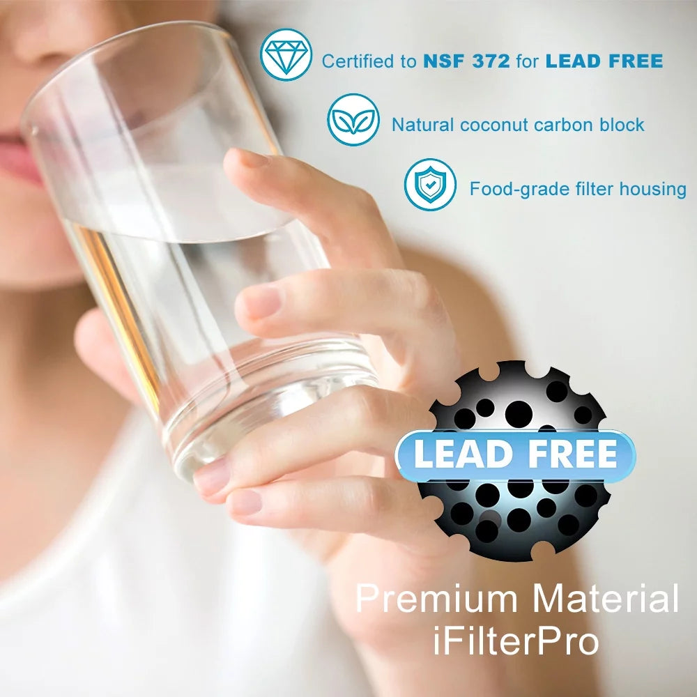 Water Filter 2-Pack P10454