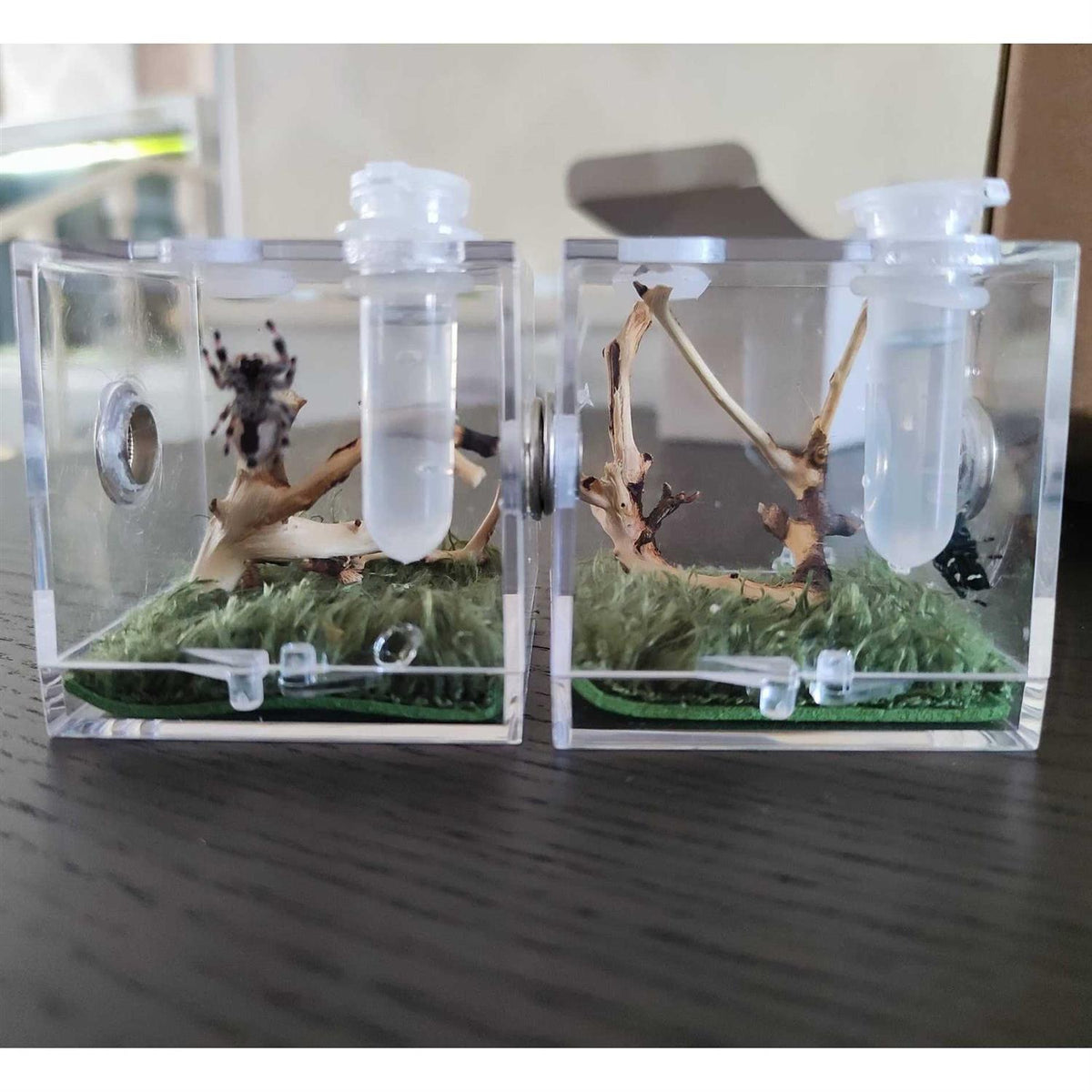 Acrylic Reptile Breeding Box with Dropper Tongs G572952