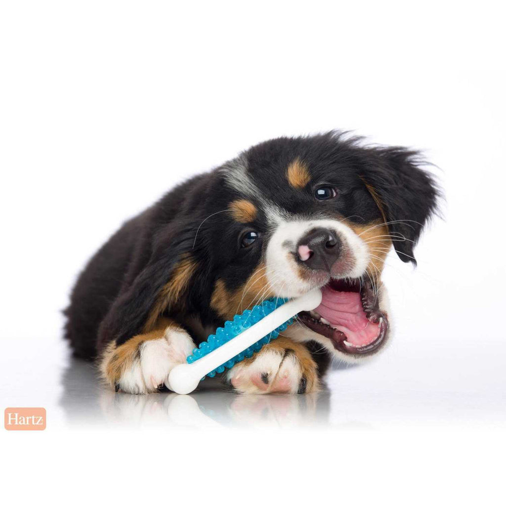 Dog Chew Toy S3690