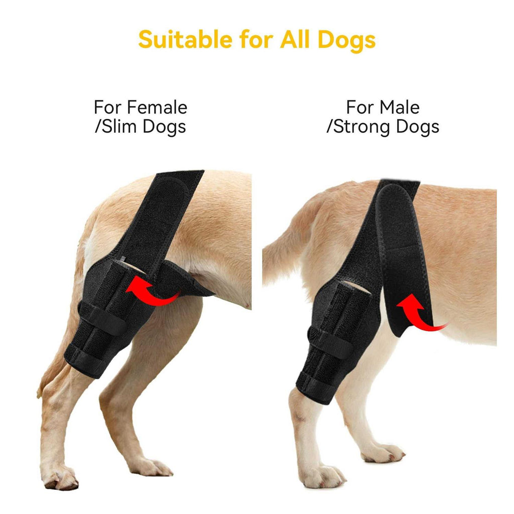 Dog Knee Brace P75425