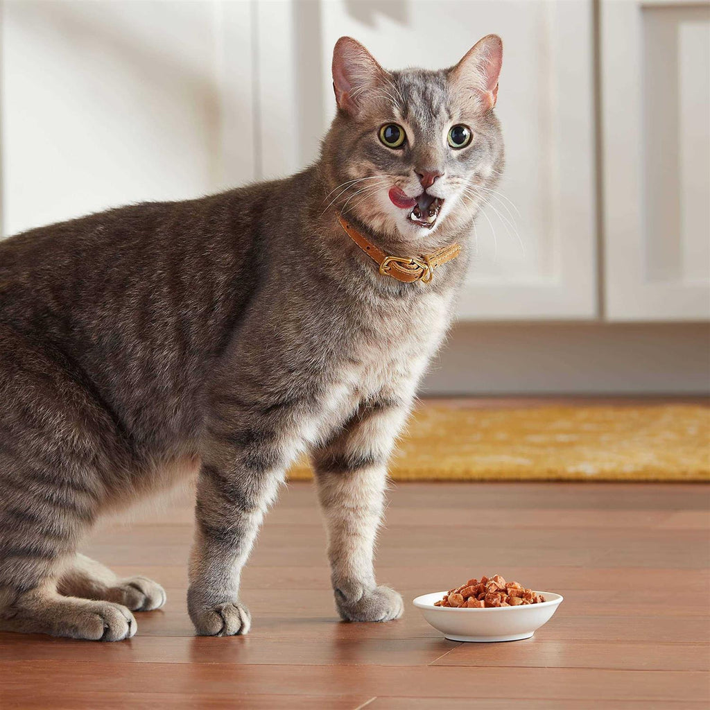 Real Salmon & Crab in Sauce Wet Cat Food P7731