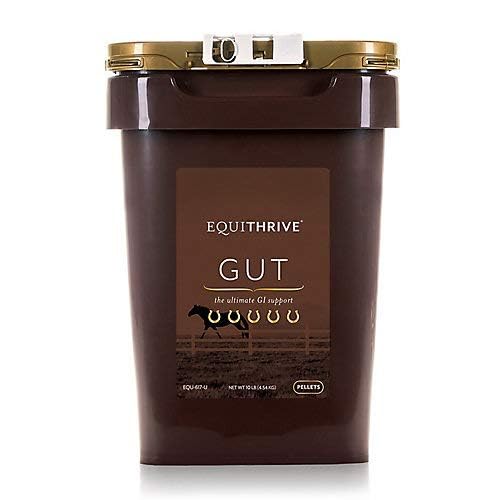 Horse Digestive Support Supplement with Probiotics, Psyllium Husk, Sodium Bicarbonate and Omega 3, 10 lbs K1035