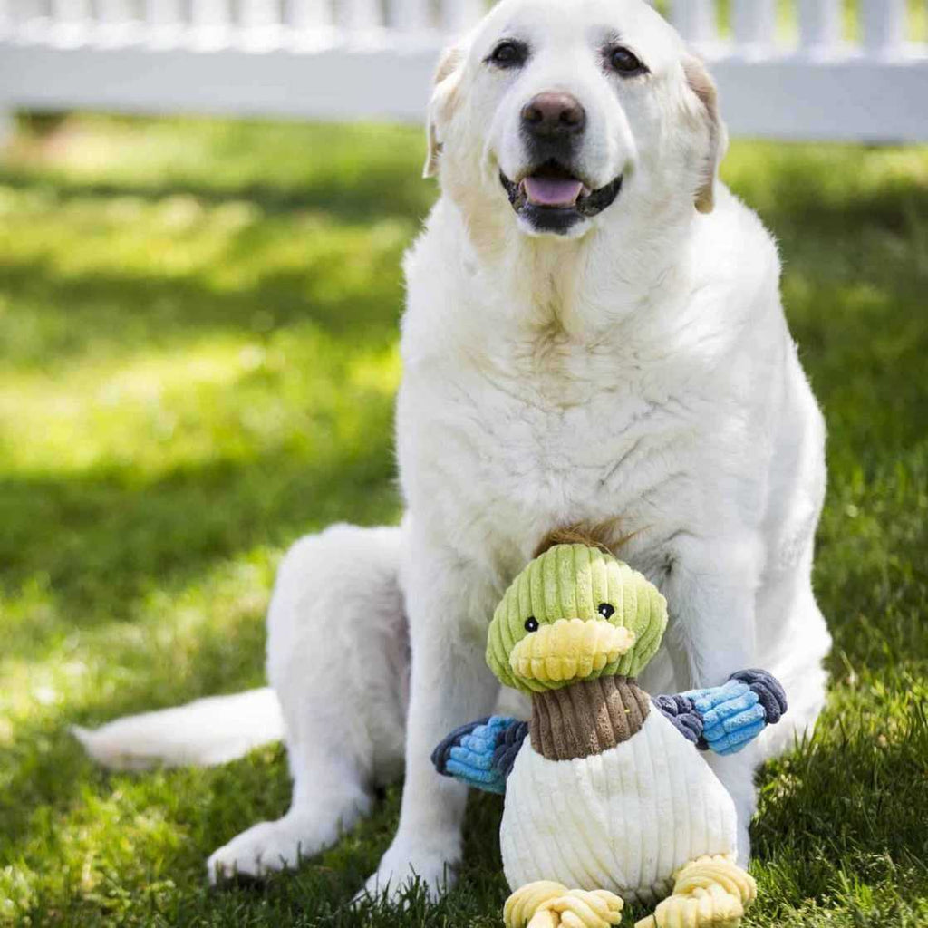 Ruff-Tex Dog Toy Q9258