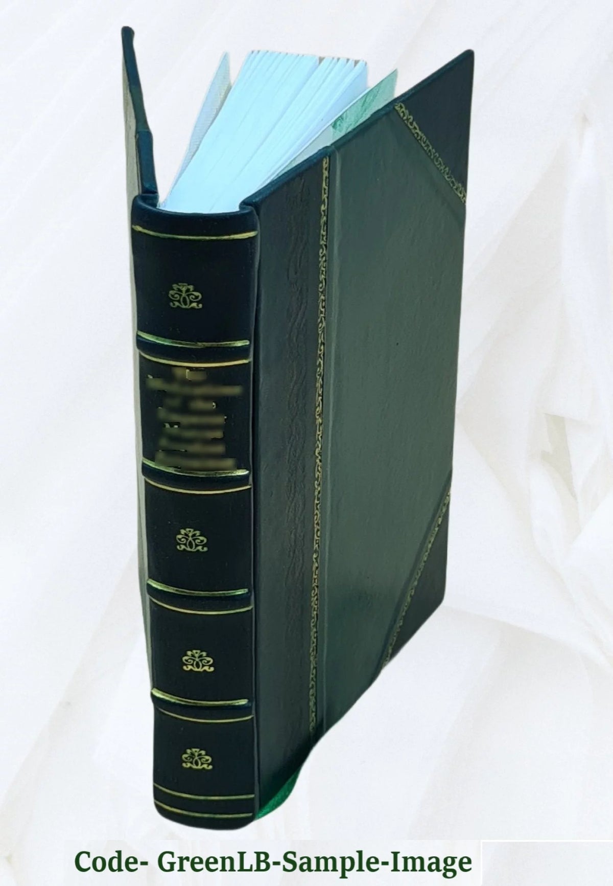 Leather Bound Book A846528
