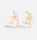 Earrings W485