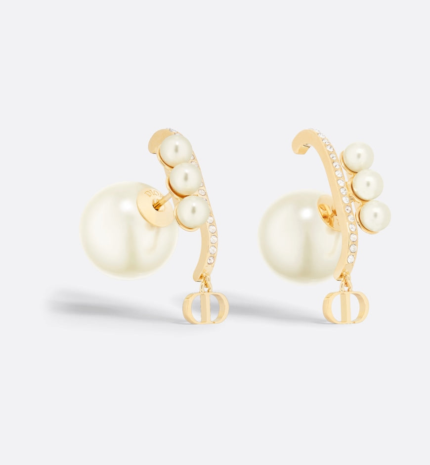 Earrings W485