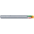 Armored Cable L832992