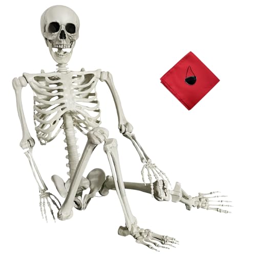 5.4Ft Life Size Posable Skeleton E4997